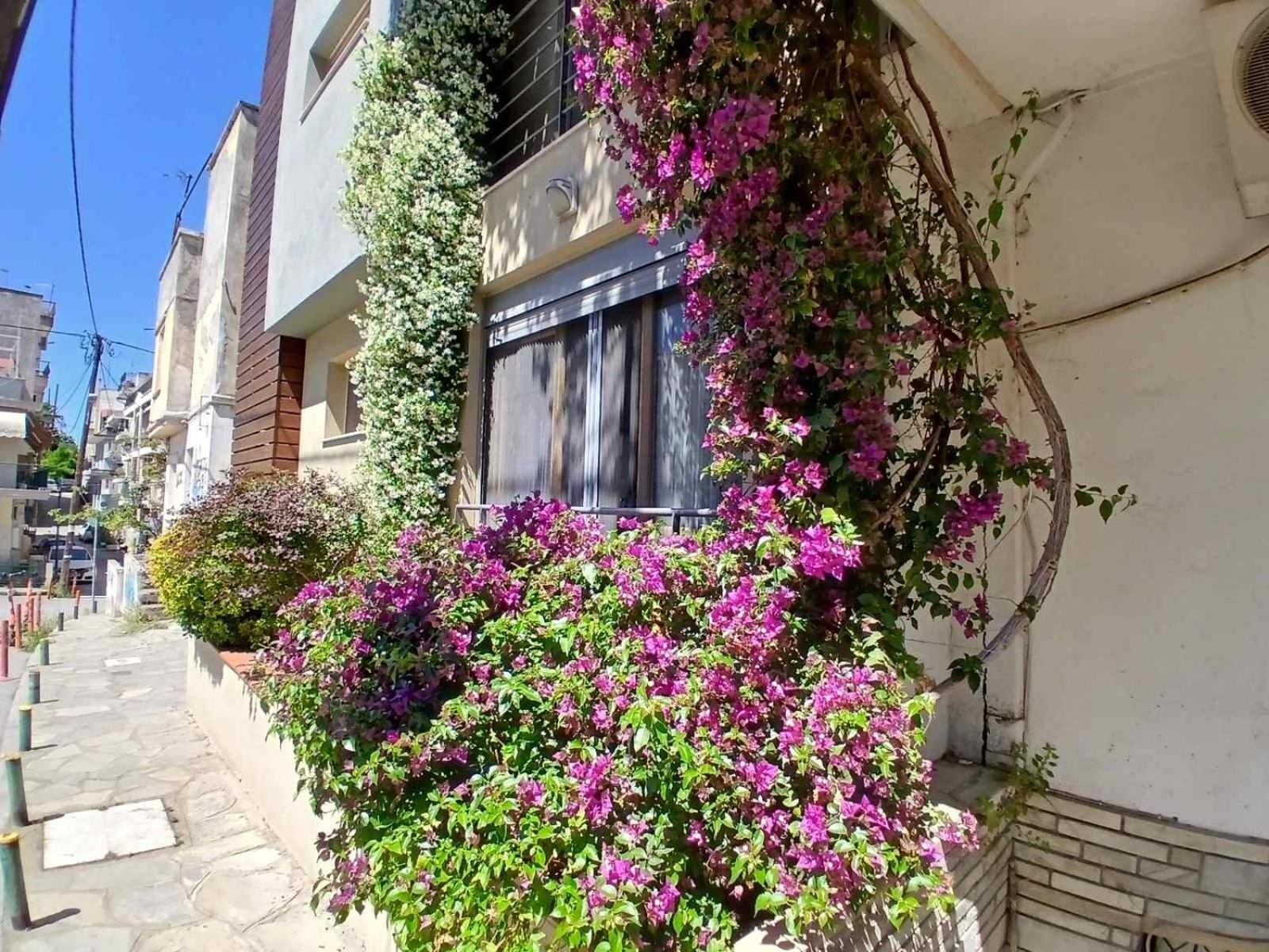 Quiet Urban Studio With Private Backyard Θεσσαλονίκη Εξωτερικό φωτογραφία